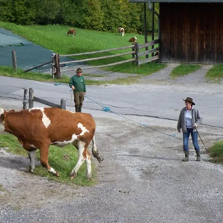 Appartement Oberbichlgut *
