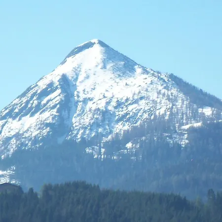 Oberbichlgut Appartement *