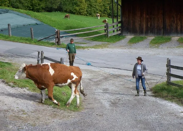 شقة Oberbichlgut *